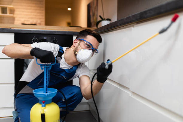 Best Affordable Exterminators  in Blakely, GA