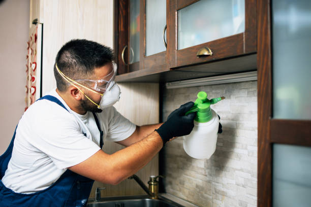 Best Wasp Removal Services  in Blakely, GA