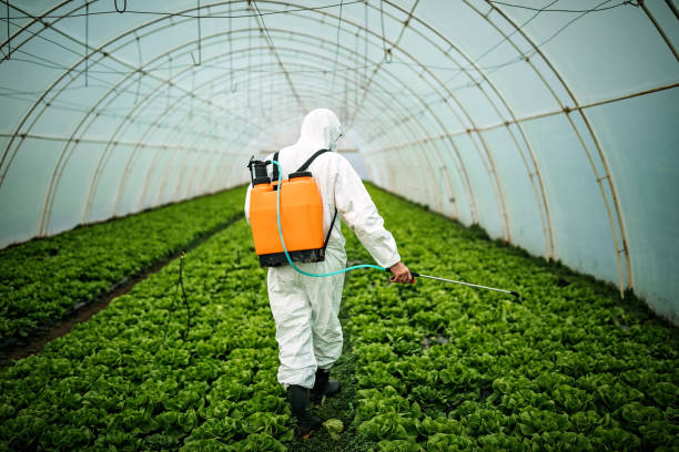 Best Pest Control for Restaurants  in Blakely, GA