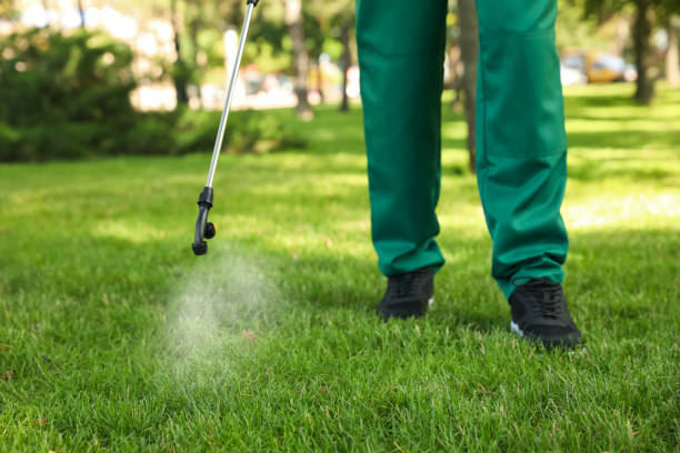 Best Pest Control for Homes  in Blakely, GA