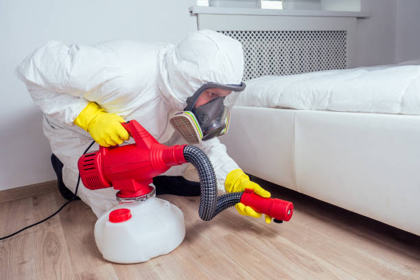 Best Mosquito Control Services  in Blakely, GA