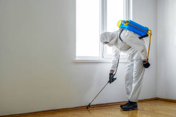 Best Pest Prevention Services  in Blakely, GA