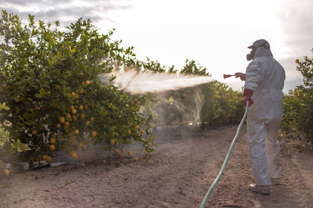 Best Cockroach Control Services  in Blakely, GA