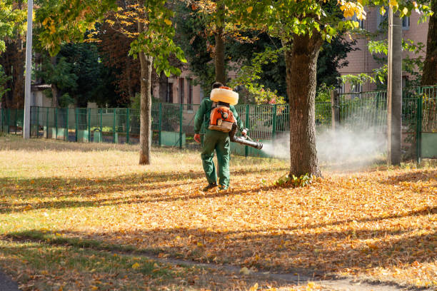 Best Exterminator Services  in Blakely, GA