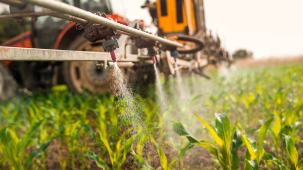 Best Ant Control Services  in Blakely, GA